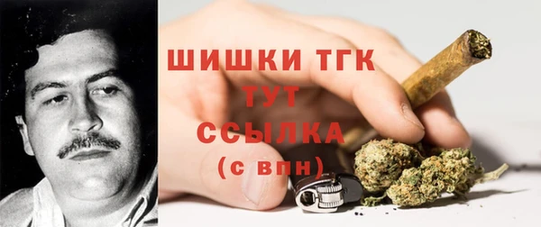 ГАЛЛЮЦИНОГЕННЫЕ ГРИБЫ Абаза