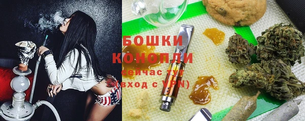 ГАЛЛЮЦИНОГЕННЫЕ ГРИБЫ Абаза