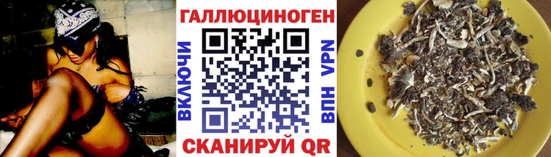 что такое   Инта  Галлюциногенные грибы Cubensis 